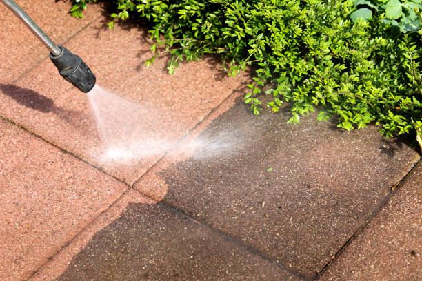 Best Roof Pressure Washing  in Oakland, PA